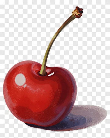Red Cherry With Stem PNG