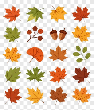 Colorful Autumn Leaves And Acorns PNG