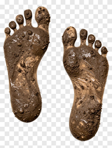 Brown Muddy Footprints PNG