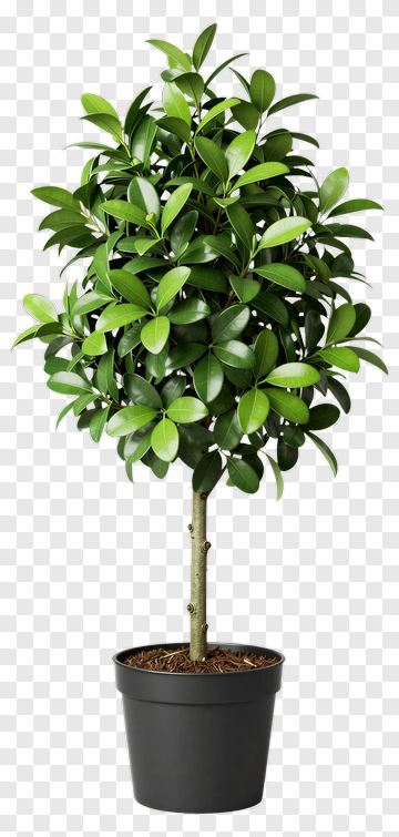 Felt Tree In A Pot PNG