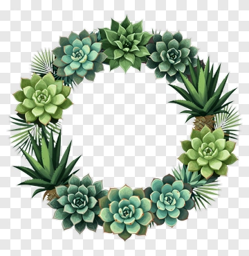 Succulent Wreath PNG