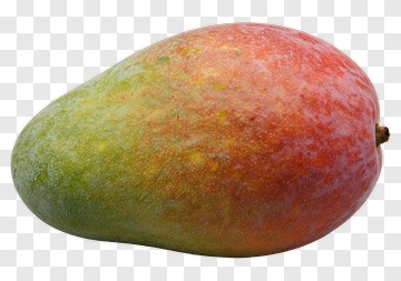 Ripe Mango PNG