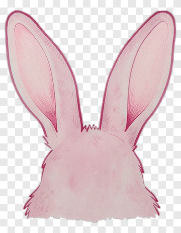 Pink Bunny Ears PNG