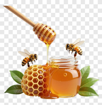 Honey Jar With Bees And Honeycomb PNG