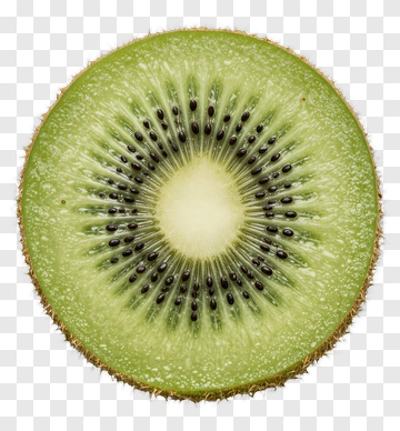 Sliced Kiwi Fruit PNG