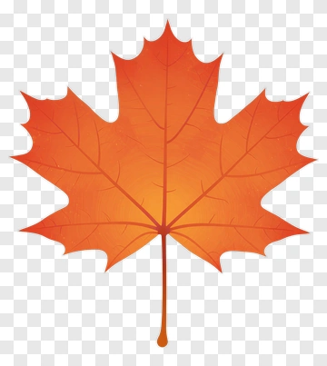 Orange Maple Leaf PNG