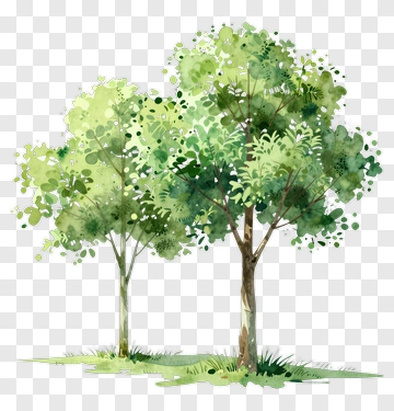 Watercolor Trees PNG