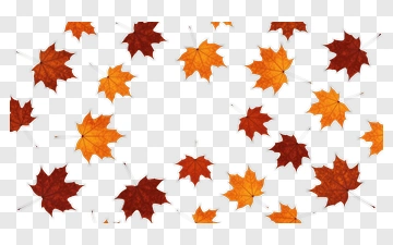Colorful Autumn Maple Leaves PNG