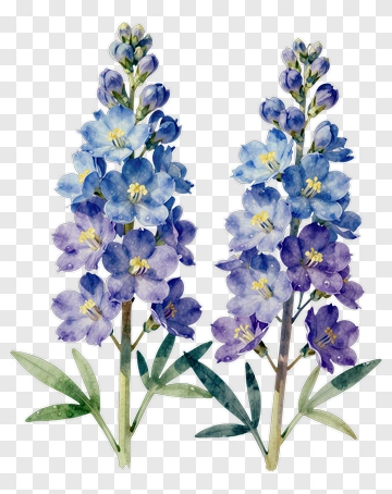 Watercolor Blue And Purple Flowers PNG