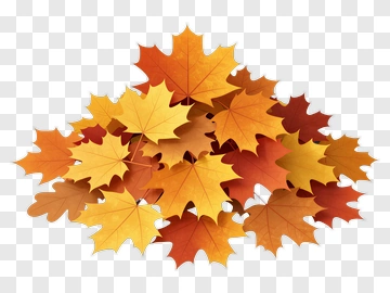 Colorful Autumn Leaves PNG