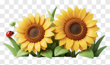 Colorful Sunflowers With A Ladybug PNG