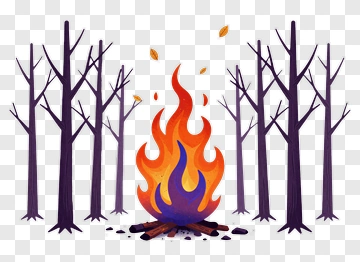 Campfire In A Forest PNG