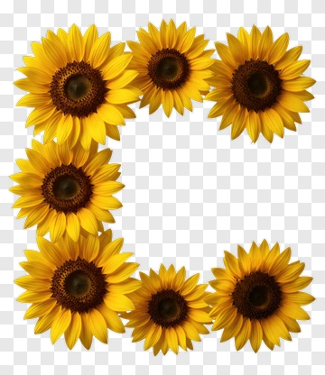 Sunflower Letter C PNG