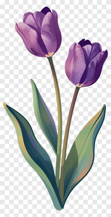 Purple Tulip Flower PNG