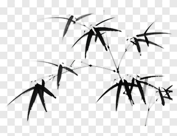 Black Bamboo Leaves PNG