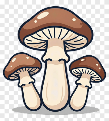 Cartoon Mushrooms PNG