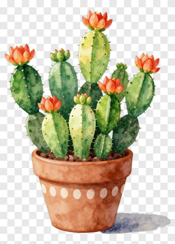 Colorful Cactus In A Pot PNG