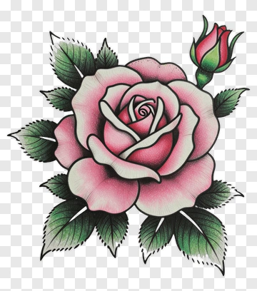 Colorful Rose With Leaves PNG