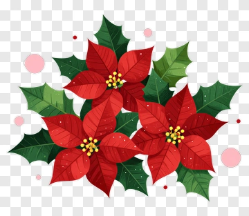 Poinsettia Flowers Arrangement PNG