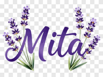 Lavender Flowers With The Name Mita PNG