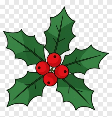 Holly Plant With Red Berries PNG