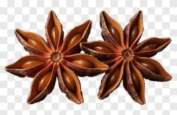 Star Anise Spices PNG