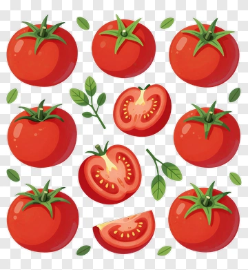 Colorful Tomatoes With Green Leaves PNG
