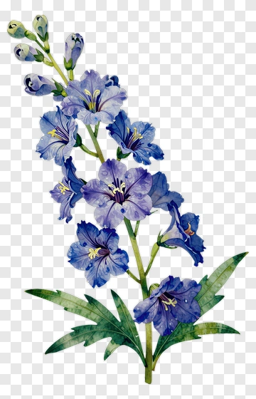 Watercolor Blue Flower Bouquet PNG