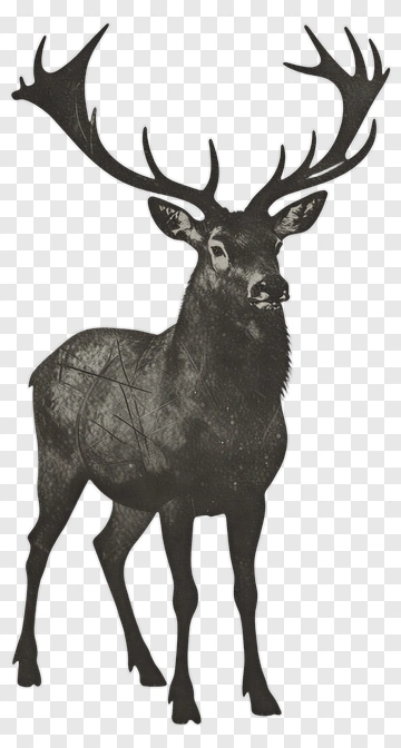 Black Deer With Antlers PNG