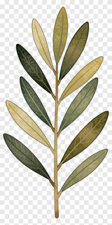 Colorful Leafy Branch PNG