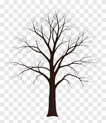 Tree With Bare Branches PNG