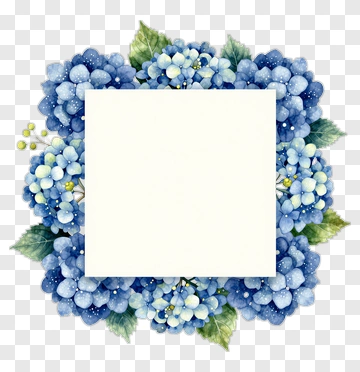 Watercolor Blue Hydrangea Floral Frame PNG