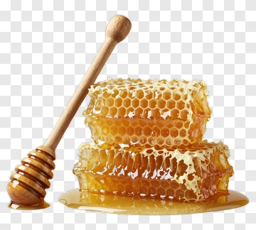 Honeycomb With Honey And Dipper PNG
