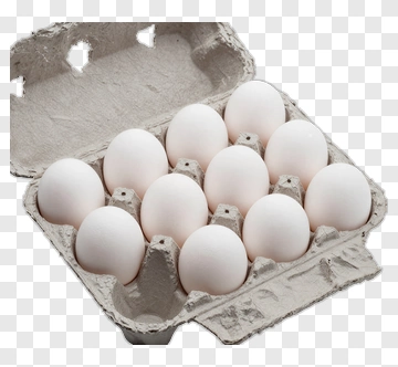 Carton Of Eggs PNG
