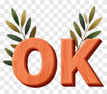 Wooden Ok Sign With Leaves PNG