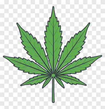 Green Cannabis Leaf PNG