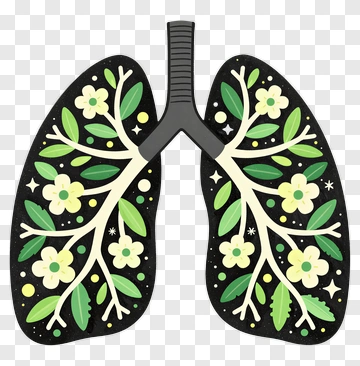 Illustration Of Lungs With Floral Design PNG