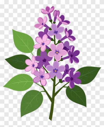 Colorful Flower Bouquet PNG