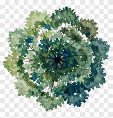 Watercolor Green Leaf Arrangement PNG