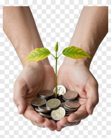 Plant Growing From Coins PNG