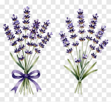 Lavender Flower Bouquet PNG