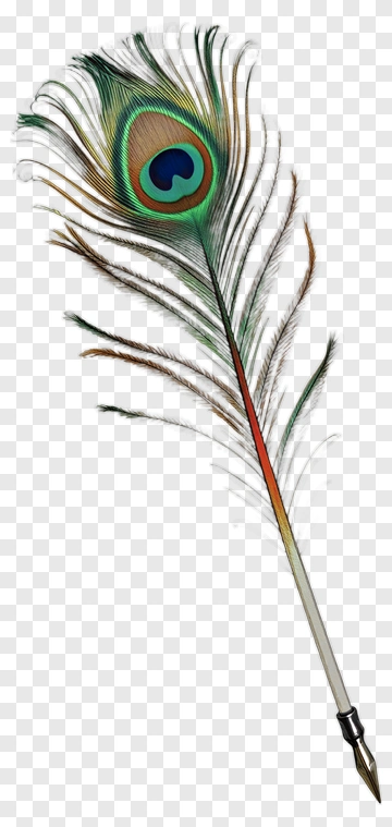 Peacock Feather Quill Pen PNG