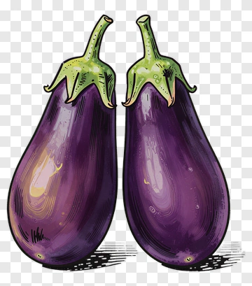 Illustration Of Two Eggplants PNG