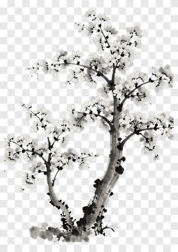 Black And White Cherry Blossom Tree PNG