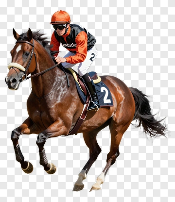 Jockey Riding A Racehorse PNG