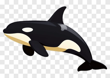 Cartoon Orca Swimming PNG