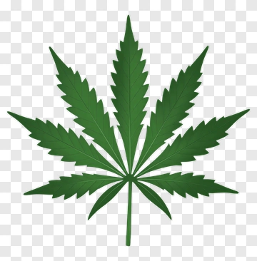 Green Cannabis Leaf PNG