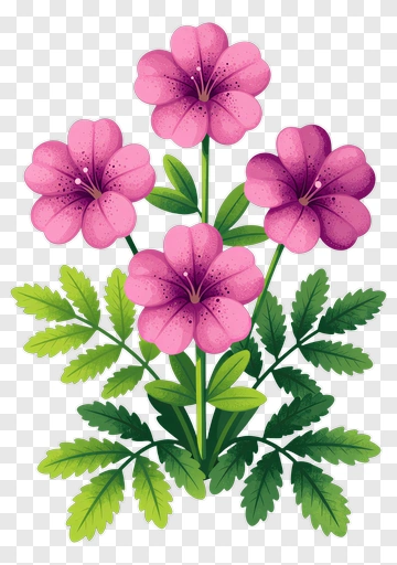 Colorful Pink Flowers With Green Leaves PNG