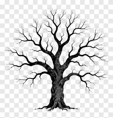 Black Tree With Bare Branches PNG