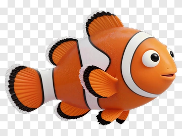 Cartoon Clownfish Swimming PNG